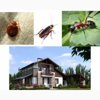 Обробка відкритих територій від комарів, кліщів, мурах