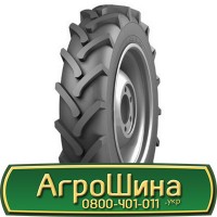 Шина 15.5 80 24, 15.5/80х24, 15.5/80 х24 AГPOШИНA