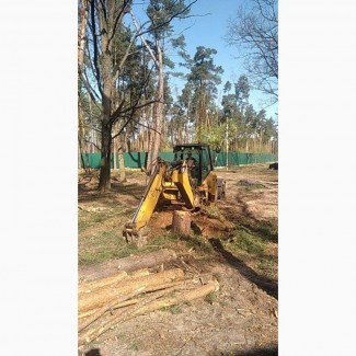 Професійний видалення та спил дерев у Києві та Київській області