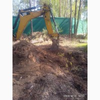 Професійний видалення та спил дерев у Києві та Київській області