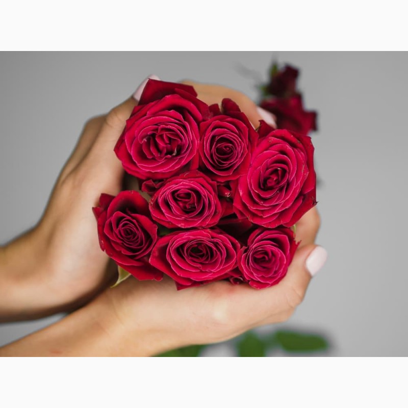 Фото 1/2. 25 чарівних троянд - ідеальний квітковий презент