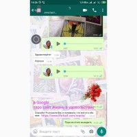 Гадание на картах Таро по телефону по viber по вайбер дистанционно онлайн Украина гадалка