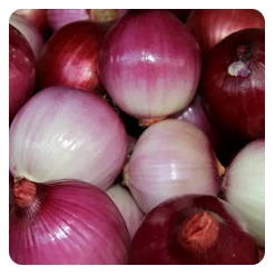 Фото 6. Машина для очищення цибулі STvega Onion H500