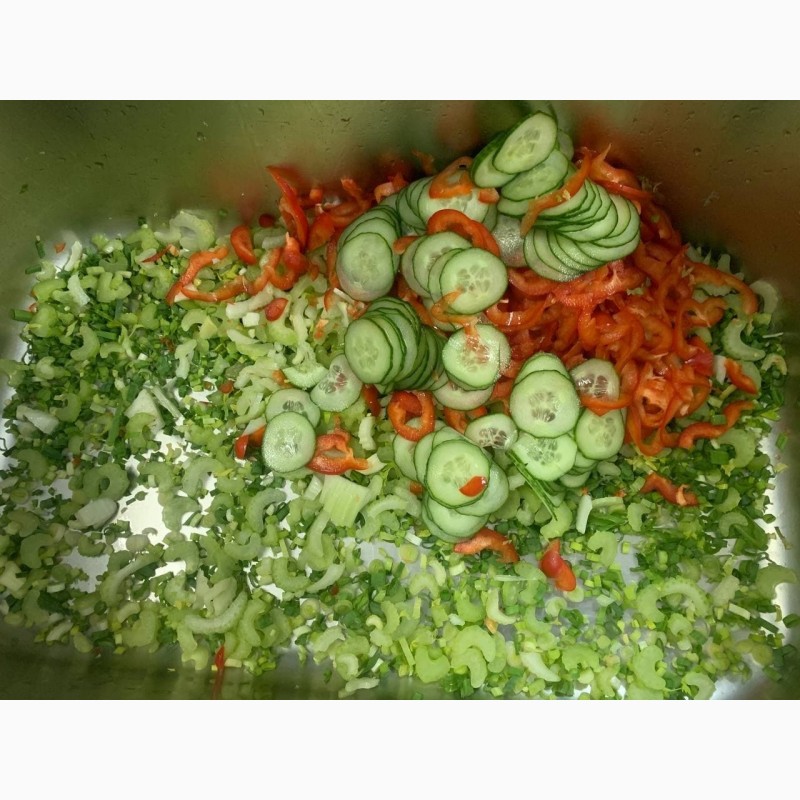 Фото 11. Машина для шаткування зелені та нарізки слайсом овочів та фруктів STvega Belt Cutter H150