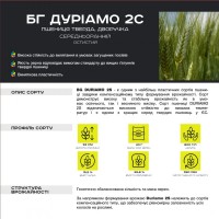 BG Duriamo 2S (пшениця тверда, дворучка) Durum Seeds
