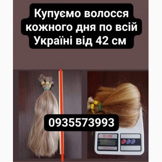 Продать волоси, продати волосся дорого по всій Україні від 42 см