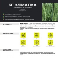 BG Klimatika (пшениця озима) Durum Seeds