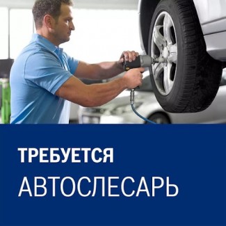 На постоянную работу требуется автослесарь. Запорожье