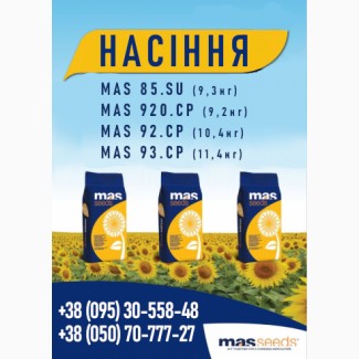 Насіння соняшника MAS