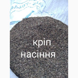 Кріп насіння