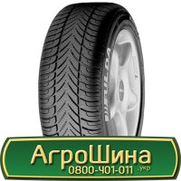 Шина 460/85 - 30, 460/85 -30, 460 85 - 30 АГPOШИHA