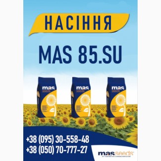 Mas 85.SU ( період вегетації 112-116 )