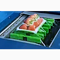 Машина для пакування продуктів у харчову плівку STvega VPM F900